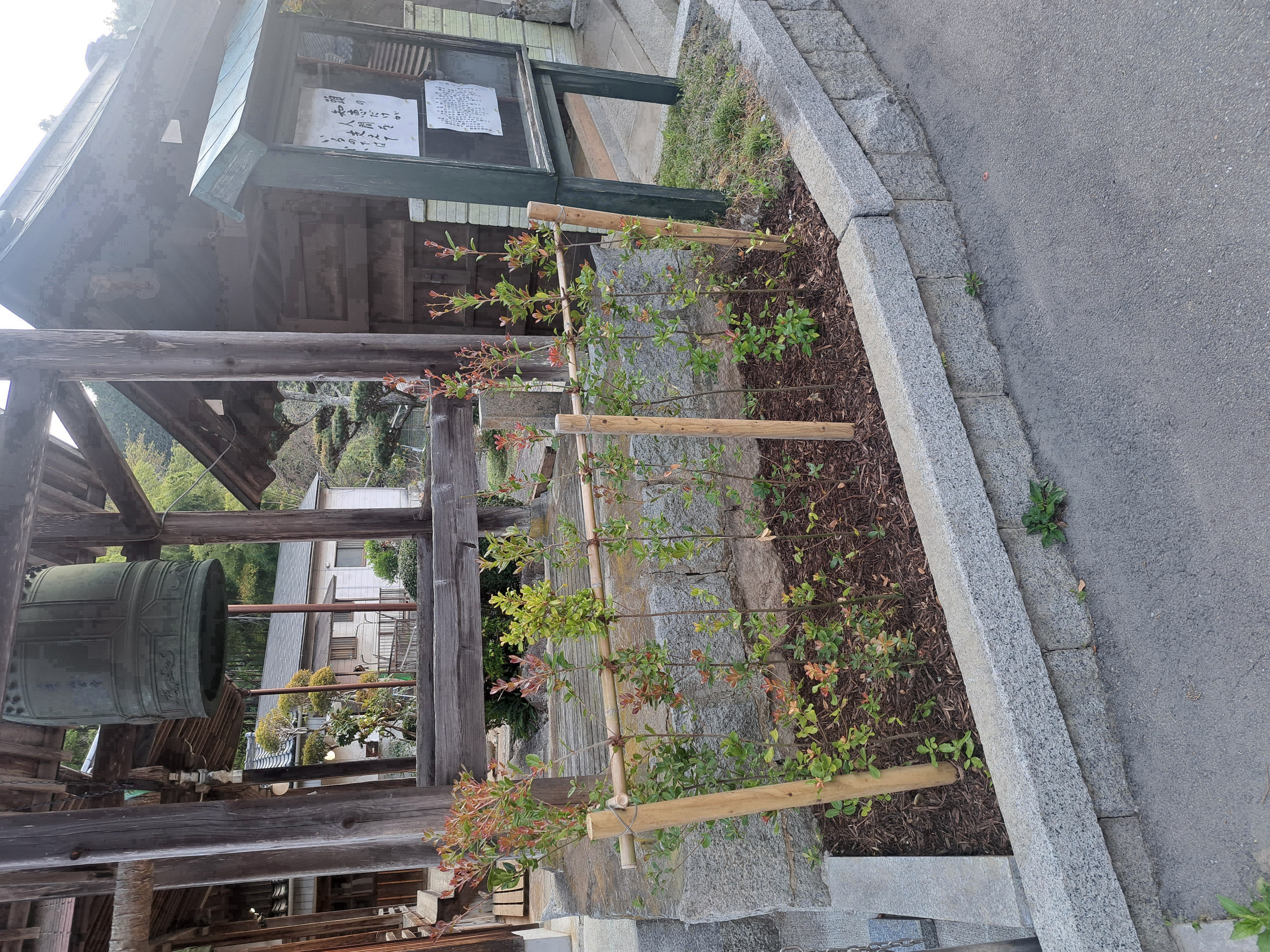 �V�����_��